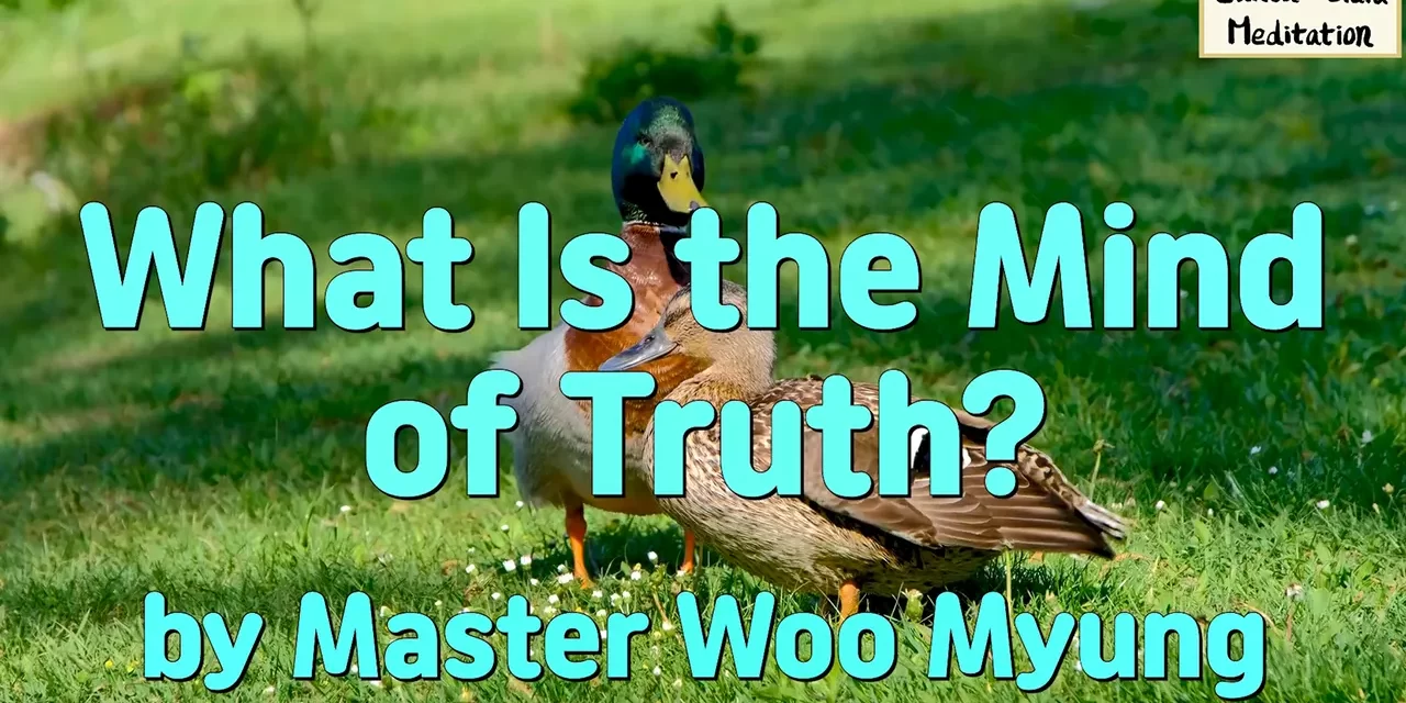 🌈 WHAT IS THE MIND OF TRUTH?: THE DHARMAKAYA WITHIN YOU | MASTER WOO MYUNG | SANTA CLARA MEDITATION