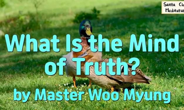 🌈 WHAT IS THE MIND OF TRUTH?: THE DHARMAKAYA WITHIN YOU | MASTER WOO MYUNG | SANTA CLARA MEDITATION