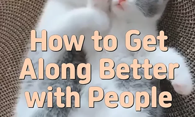 🌻 HOW TO GET ALONG BETTER WITH PEOPLE: LETTING GO OF SELF-CENTEREDNESS | MASTER WOO MYUNG | SANTA CLARA MEDITATION