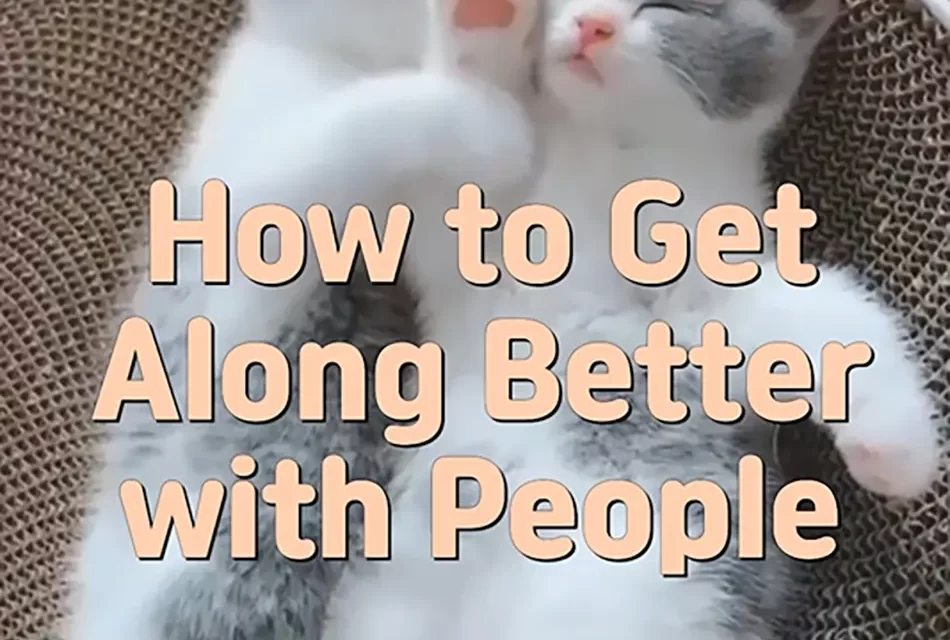 🌻 HOW TO GET ALONG BETTER WITH PEOPLE: LETTING GO OF SELF-CENTEREDNESS | MASTER WOO MYUNG | SANTA CLARA MEDITATION