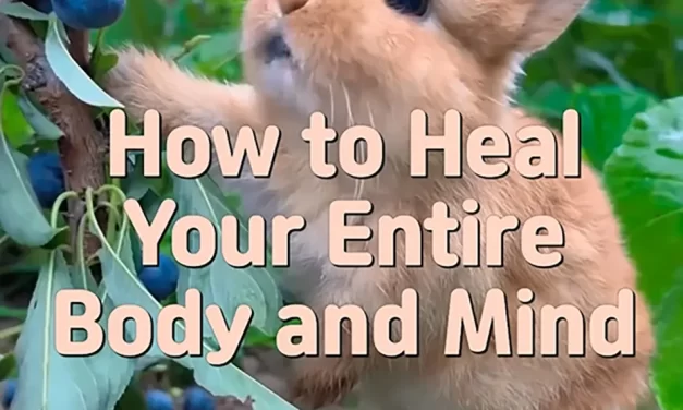 🌸 HOW TO HEAL YOUR ENTIRE BODY AND MIND: RETURNING TO THE TRUE WORLD | MASTER WOO MYUNG | SANTA CLARA MEDITATION