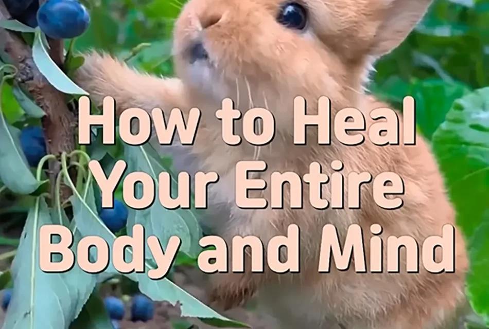 🌸 HOW TO HEAL YOUR ENTIRE BODY AND MIND: RETURNING TO THE TRUE WORLD | MASTER WOO MYUNG | SANTA CLARA MEDITATION