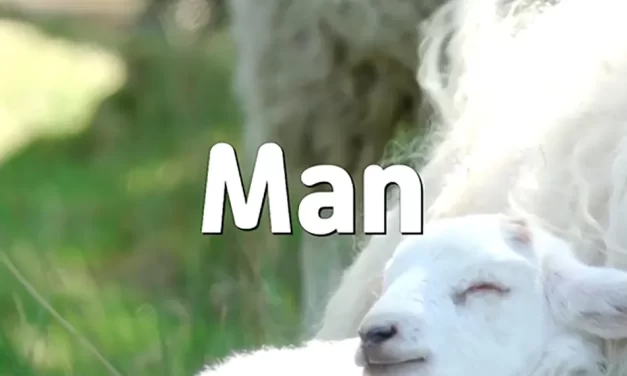 🌍 MAN: NOT KNOWING HEAVEN, EARTH, AND SELF ARE ONE | MASTER WOO MYUNG | SANTA CLARA MEDITATION