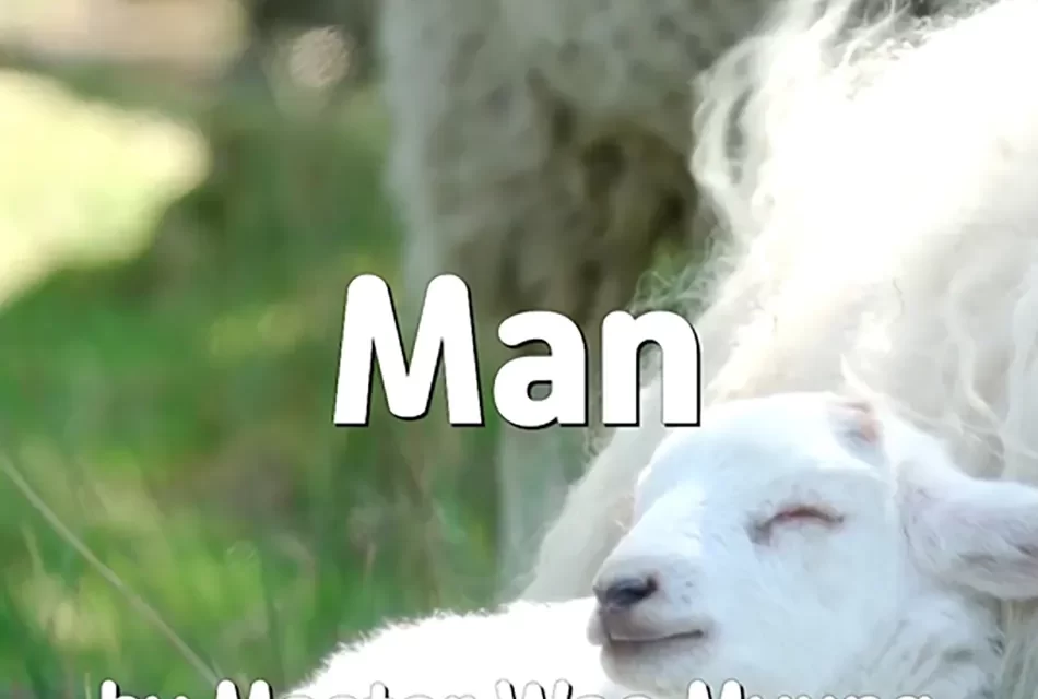 🌍 MAN: NOT KNOWING HEAVEN, EARTH, AND SELF ARE ONE | MASTER WOO MYUNG | SANTA CLARA MEDITATION