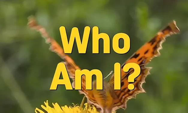 🌌 Who Am I? From Incompletion to Resurrection in the True World of Heaven | Master Woo Myung | Santa Clara Meditation