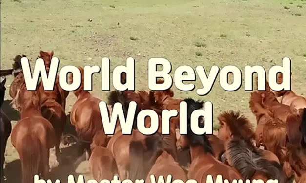 🌏 WORLD BEYOND WORLD: ENTERING THE ONE ETERNAL WORLD | MASTER WOO MYUNG | SANTA CLARA MEDITATION