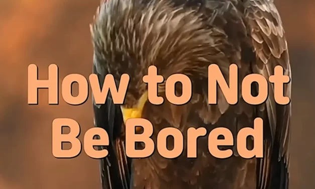 🎨 How to Not Be Bored: Eliminating the Mind That Creates Boredom and Loneliness | Master Woo Myung | Santa Clara Meditation