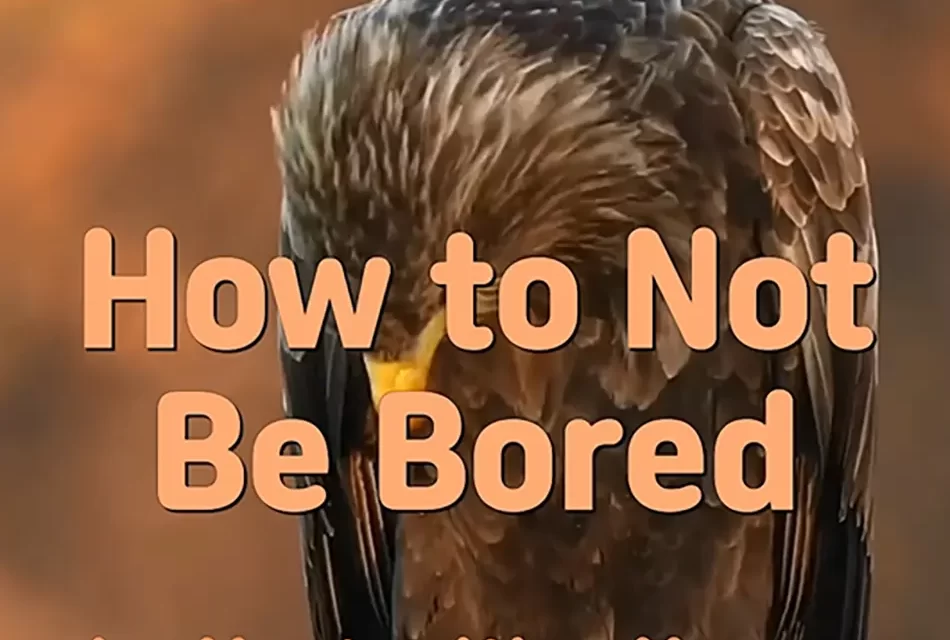 🎨 How to Not Be Bored: Eliminating the Mind That Creates Boredom and Loneliness | Master Woo Myung | Santa Clara Meditation