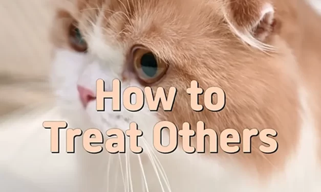 🌼 HOW TO TREAT OTHERS: EMBRACING PEOPLE WITH THE BIG MIND OF TRUTH | MASTER WOO MYUNG | SANTA CLARA MEDITATION