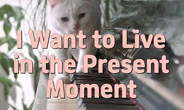 🌞 I Want to Live in the Present Moment: Discarding the False Mind to Awaken to Truth | Master Woo Myung | Santa Clara Meditation