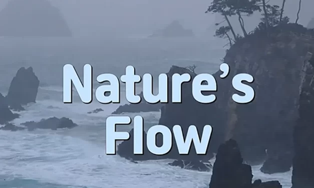 🌿 NATURE’S FLOW: LIVING WITHOUT MIND IN THE PRESENT MOMENT | MASTER WOO MYUNG | SANTA CLARA MEDITATION