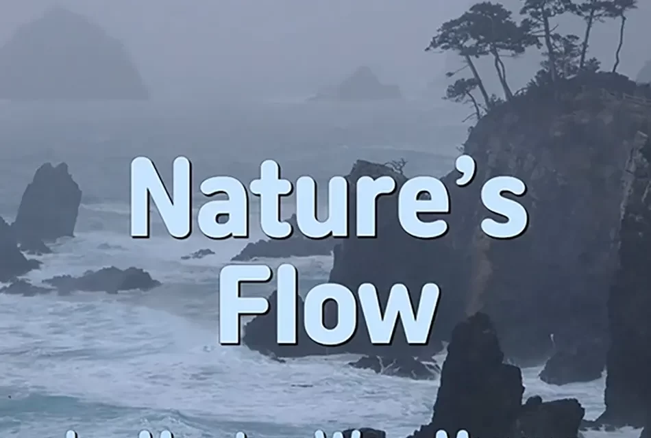 🌿 NATURE’S FLOW: LIVING WITHOUT MIND IN THE PRESENT MOMENT | MASTER WOO MYUNG | SANTA CLARA MEDITATION