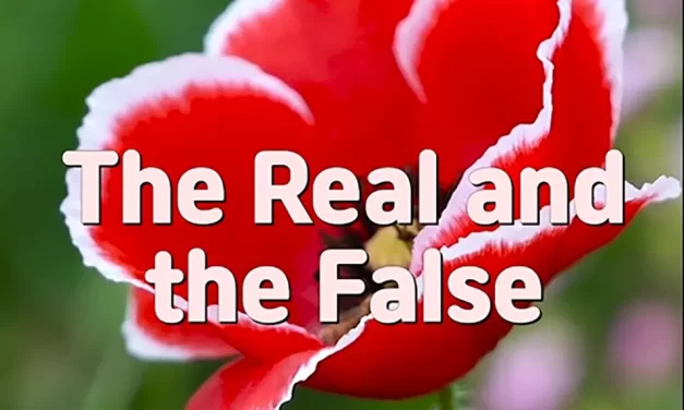 🌓 THE REAL AND THE FALSE: LIVING AS TRUTH IN THE KINGDOM OF TRUTH | MASTER WOO MYUNG | SANTA CLARA MEDITATION
