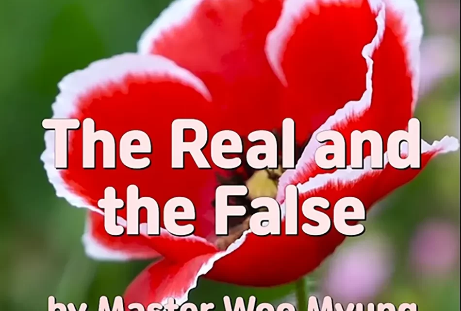 🌓 THE REAL AND THE FALSE: LIVING AS TRUTH IN THE KINGDOM OF TRUTH | MASTER WOO MYUNG | SANTA CLARA MEDITATION