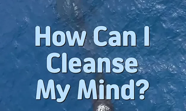 🕊 How Can I Cleanse My Mind? Discarding False Pictures to Awaken to Truth | Master Woo Myung | Santa Clara Meditation
