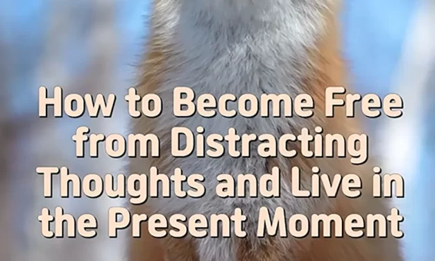 🌿 How to Become Free from Distracting Thoughts and Live in the Present Moment | Master Woo Myung | Santa Clara Meditation