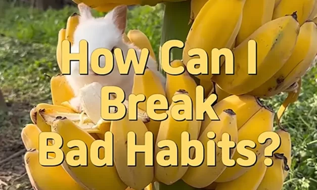 🔑 How Can I Break Bad Habits? Discarding the False Mind Through Meditation | Master Woo Myung | Santa Clara Meditation