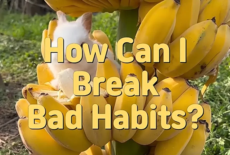 🔑 How Can I Break Bad Habits? Discarding the False Mind Through Meditation | Master Woo Myung | Santa Clara Meditation