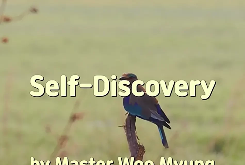 🌞 SELF DISCOVERY: FINDING YOUR TRUE SELF BEYOND ILLUSION | MASTER WOO MYUNG | SANTA CLARA MEDITATION