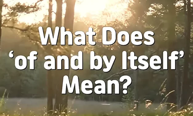 🌟 What Does ‘of and by Itself’ Mean? Understanding Existence Beyond Change | Master Woo Myung | Santa Clara Meditation