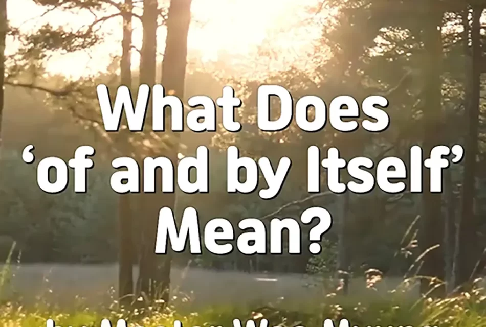 🌟 What Does ‘of and by Itself’ Mean? Understanding Existence Beyond Change | Master Woo Myung | Santa Clara Meditation