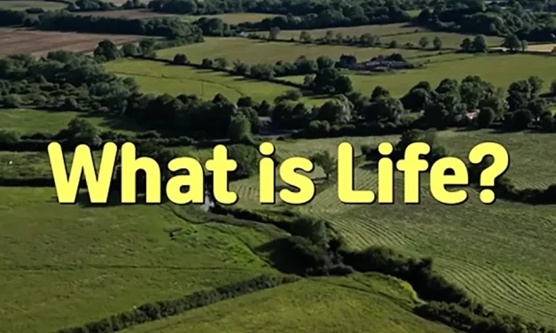 🌱 What Is Life? Awakening Beyond Illusions to the Land of Truth | Master Woo Myung | Santa Clara Meditation