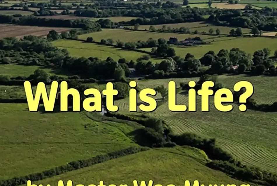 🌱 What Is Life? Awakening Beyond Illusions to the Land of Truth | Master Woo Myung | Santa Clara Meditation