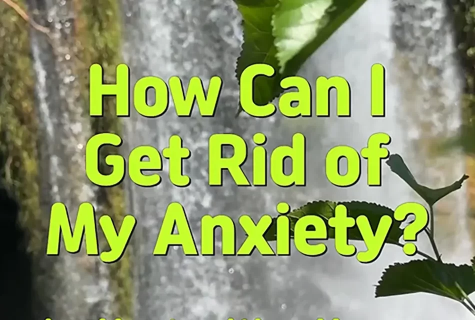 🌿 How Can I Get Rid of My Anxiety? Discarding Karma, Habits, and Body to Find Peace | Master Woo Myung | Santa Clara Meditation