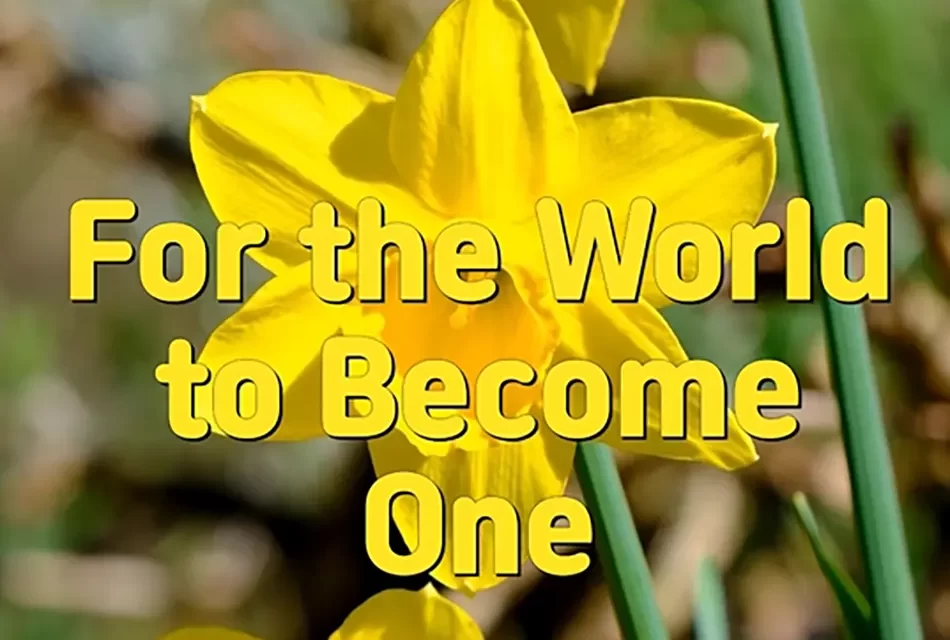 🌍 For the World to Become One: Awakening to the Land of Truth | Master Woo Myung | Santa Clara Meditation