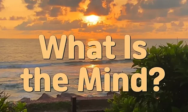🌼 What Is the Mind? True vs False Mind Explained | Master Woo Myung | Santa Clara Meditation