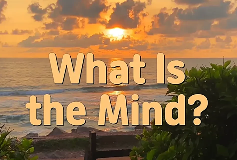 🌼 What Is the Mind? True vs False Mind Explained | Master Woo Myung | Santa Clara Meditation