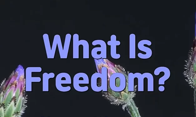 🕊️ WHAT IS FREEDOM? ESCAPING THE MIND AND LIVING IN NIRVANA | MASTER WOO MYUNG | SANTA CLARA MEDITATION
