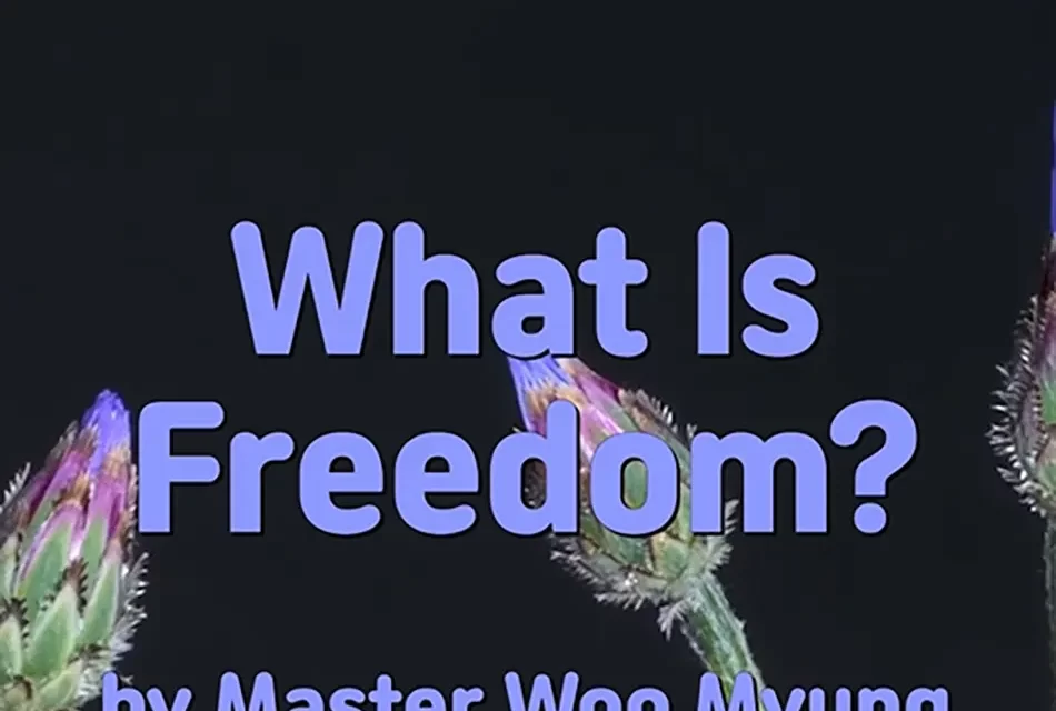 🕊️ WHAT IS FREEDOM? ESCAPING THE MIND AND LIVING IN NIRVANA | MASTER WOO MYUNG | SANTA CLARA MEDITATION