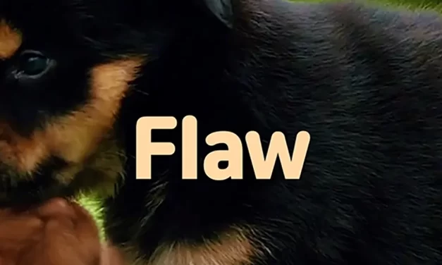 🌑 Flaw: How Human Desire Becomes a Cosmic Defect and the Path of Truth to Mend It | Master Woo Myung | Santa Clara Meditation