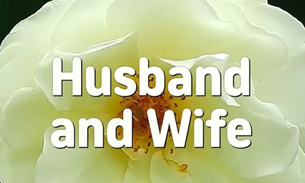 💞 Husband and Wife: Becoming One Mind Beyond Possession and Expectations | Master Woo Myung | Santa Clara Meditation