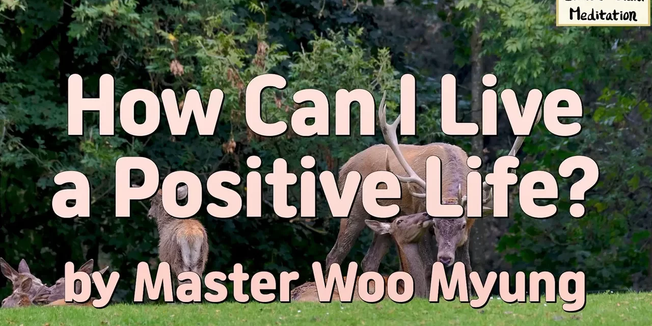 🌞 How Can I Live a Positive Life?: finding positivity through discarding the false mind | Master Woo Myung | Santa Clara Meditation
