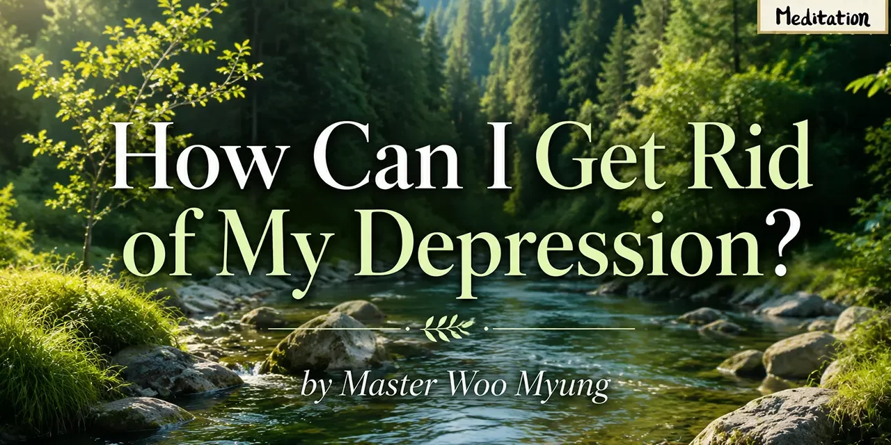 π HOW CAN I GET RID OF MY DEPRESSION? | MASTER WOO MYUNG | SANTA CLARA MEDITATION
