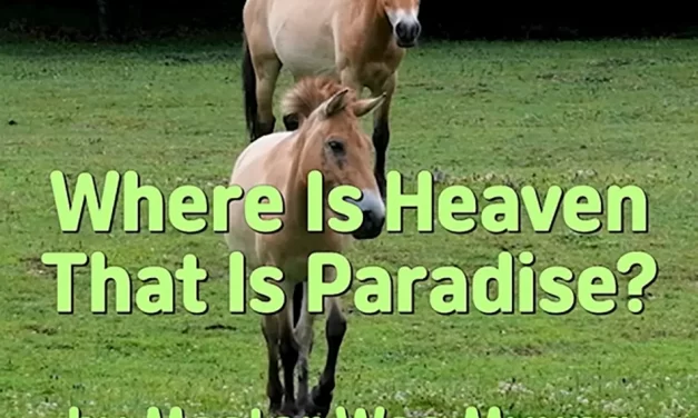 🌈 Where Is Heaven That Is Paradise? Discovering the Land of Truth Within the Mind | Master Woo Myung | Santa Clara Meditation