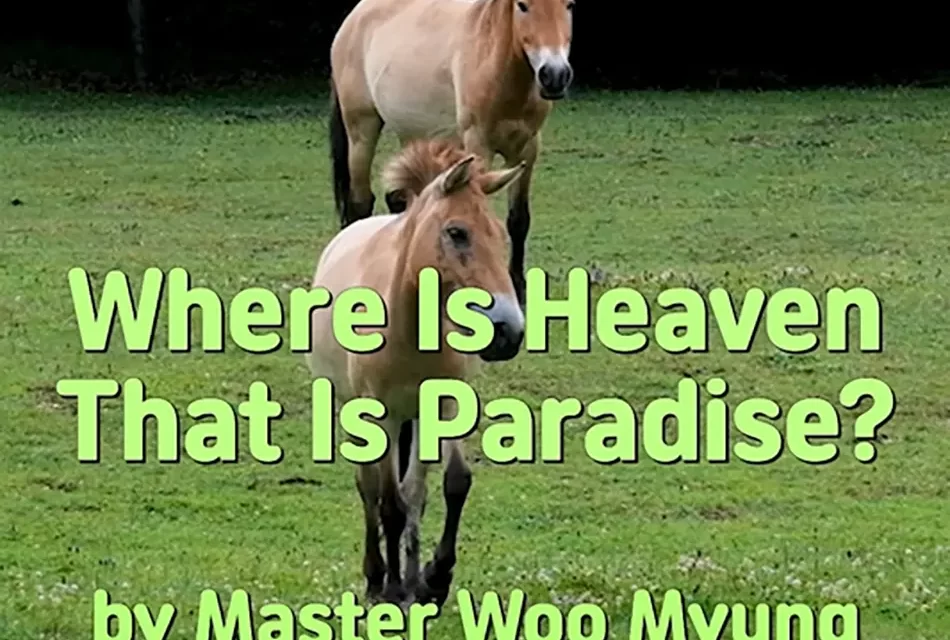 🌈 Where Is Heaven That Is Paradise? Discovering the Land of Truth Within the Mind | Master Woo Myung | Santa Clara Meditation