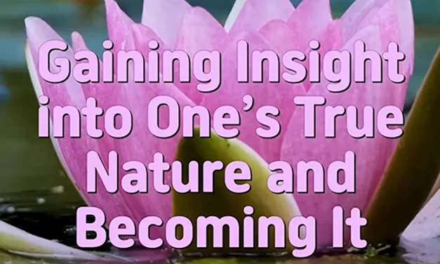 🌟 Gaining Insight into One’s True Nature vs. Becoming Truth Itself | Master Woo Myung | Santa Clara Meditation