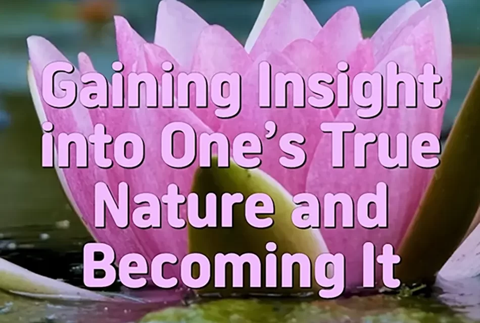 🌟 Gaining Insight into One’s True Nature vs. Becoming Truth Itself | Master Woo Myung | Santa Clara Meditation