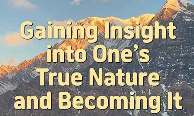 🌄 Gaining Insight into One’s True Nature vs Becoming It: Seeing Truth Is Not the Same as Being Truth | Master Woo Myung | Santa Clara Meditation