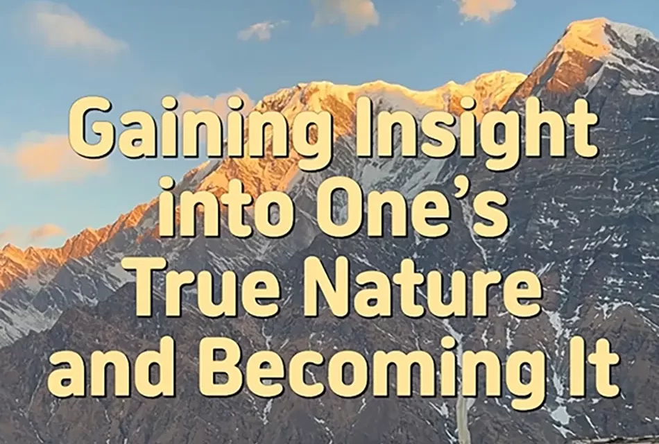 🌄 Gaining Insight into One’s True Nature vs Becoming It: Seeing Truth Is Not the Same as Being Truth | Master Woo Myung | Santa Clara Meditation