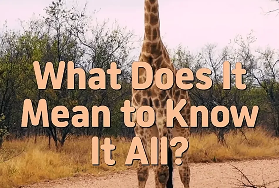 🌐 WHAT DOES IT MEAN TO KNOW IT ALL? TRUE WISDOM IN TRUTH | MASTER WOO MYUNG | SANTA CLARA MEDITATION