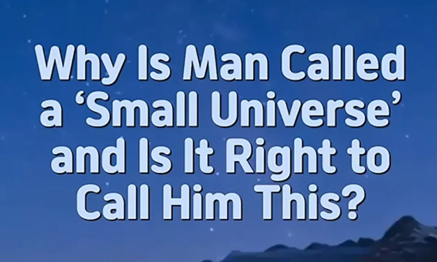 🌌 Man Is Not a Small Universe but the Universe Itself | Master Woo Myung | Santa Clara Meditation
