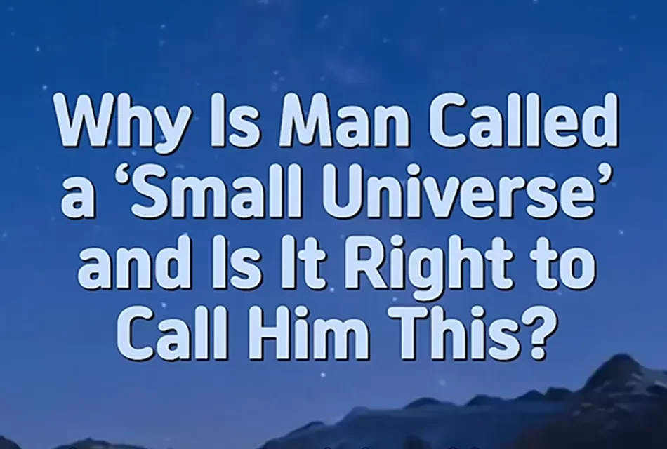 🌌 Man Is Not a Small Universe but the Universe Itself | Master Woo Myung | Santa Clara Meditation