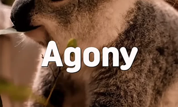 🌑 Agony: How the Self Creates Burdens and How to Be Free | Master Woo Myung | Santa Clara Meditation