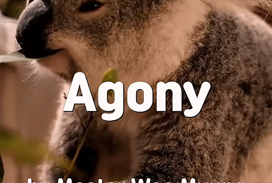 🌑 Agony: How the Self Creates Burdens and How to Be Free | Master Woo Myung | Santa Clara Meditation