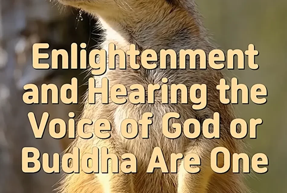 🌟 Enlightenment and Hearing the Voice of God or Buddha Are One | Master Woo Myung | Santa Clara Meditation