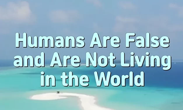 🌍 Humans Are False and Not Truly Living in the World | Master Woo Myung | Santa Clara Meditation